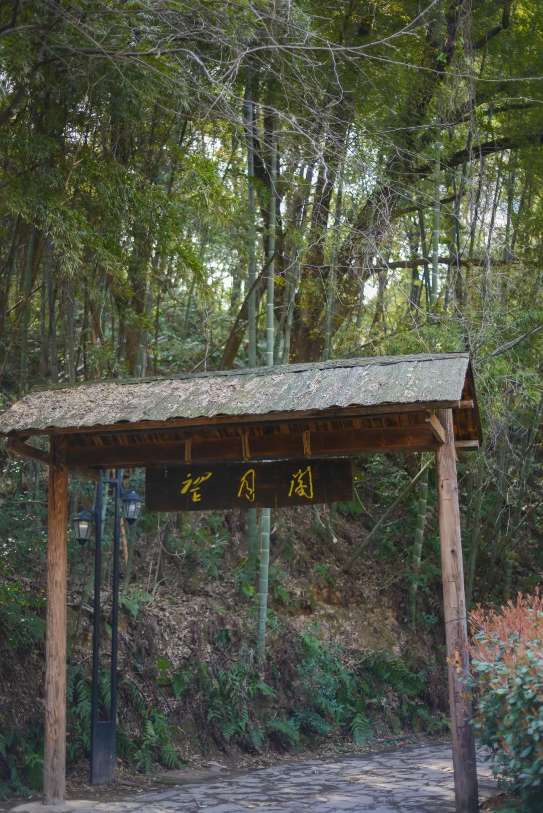 DƬ